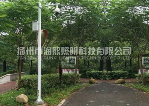 麻豆一级片视频