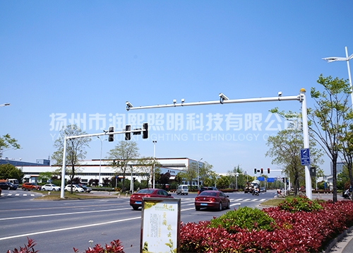 优质麻豆一级片视频厂家