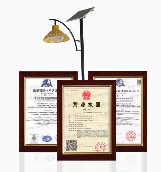 优质麻豆一级片视频厂家
