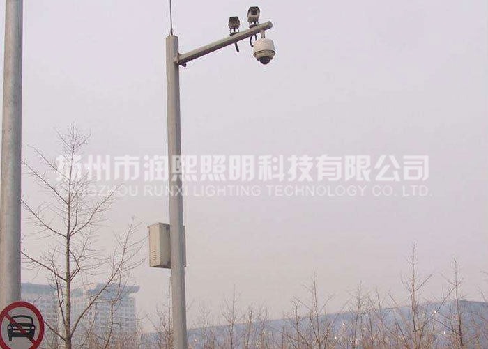 麻豆一级片视频厂家