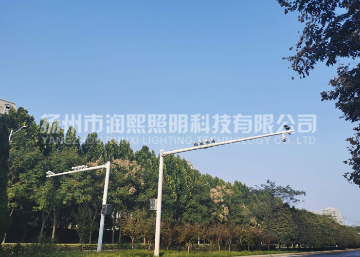 交通麻豆一级片视频