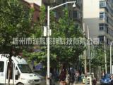 麻豆一级片视频厂家价格