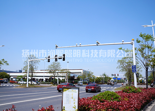 优质麻豆一级片视频厂家