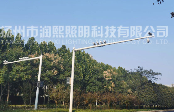 麻豆一级片视频
