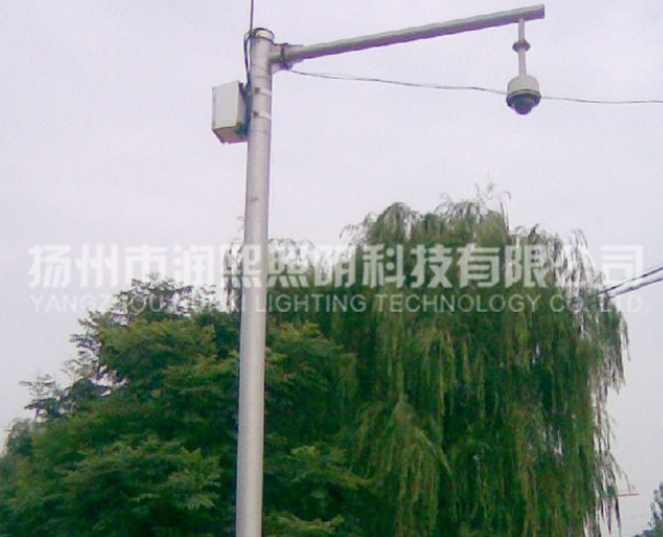 麻豆一级片视频