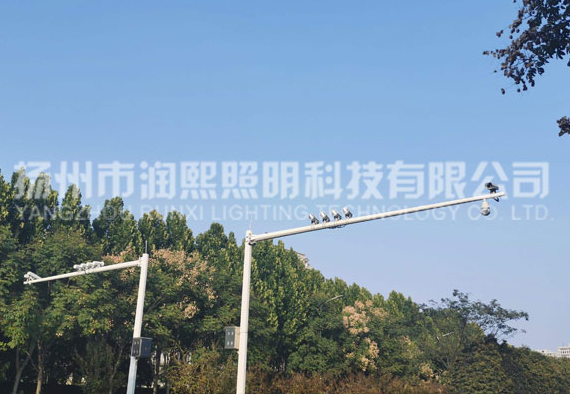 麻豆一级片视频